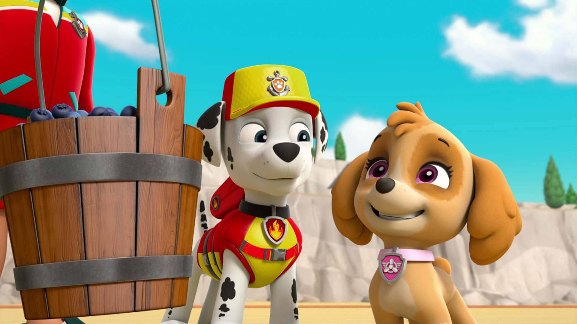 Paw Patrol S05 B06