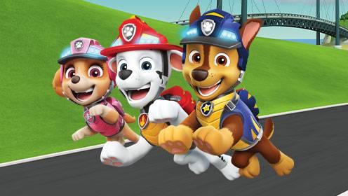 Paw Patrol S07 B05